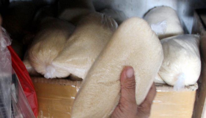 Foto : Iwan tri wahyudi/ FAJAR INDONESIA NETWORK