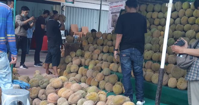 Hadir Pertama di Jambi Makan Durian Tiap Hari Tanpa Musim