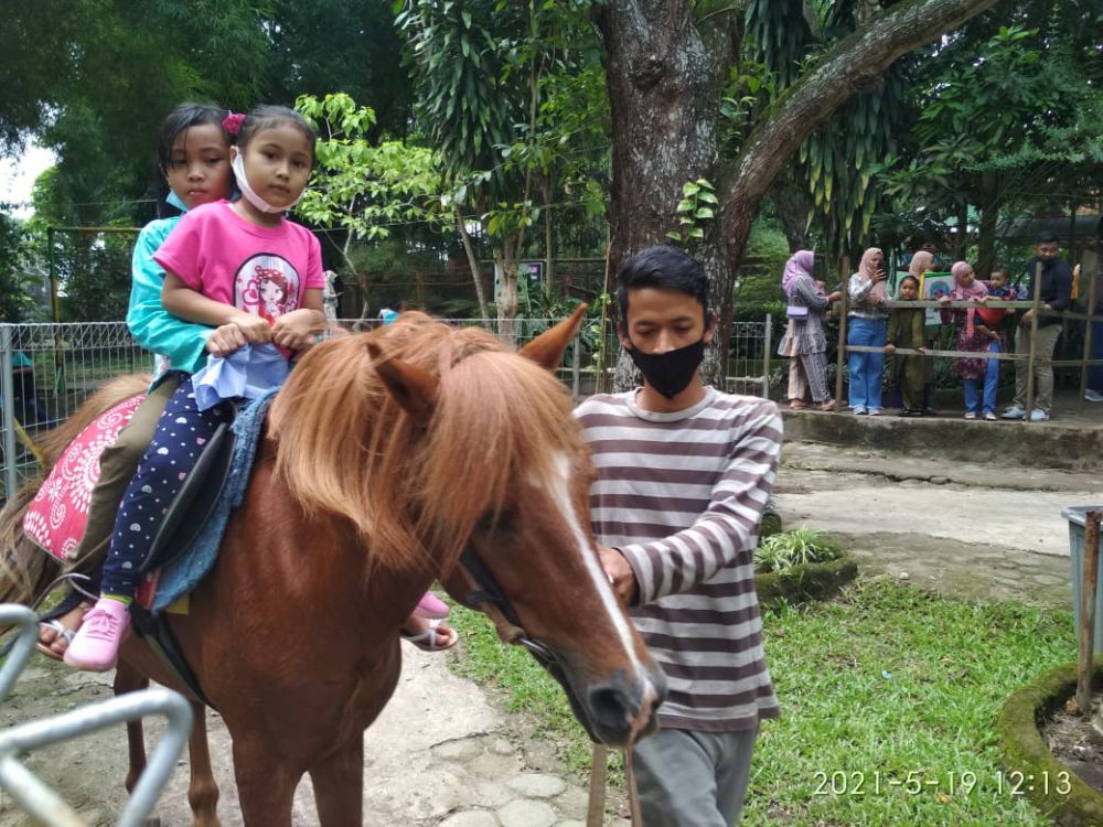 Pengunjung Kebun Binatang memanfaatkan wahana berkuda. Pengunjung mulai ramai pasca penutupan.