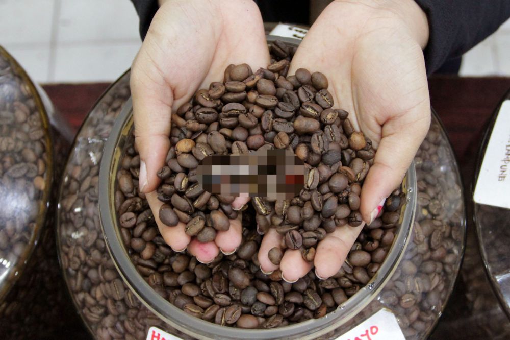 Pekerja menyortir biji kopi di salah satu gerai kopi di Jakarta, Kamis (25/03). Direktorat Jenderal Perkebunan Kementerian Pertanian (Kementan) telah menetapkan target produksi kopi nasional 2021 sebesar 834.750 ton, naik dari tahun 2020 sebanyak 769,7 ribu ton. 