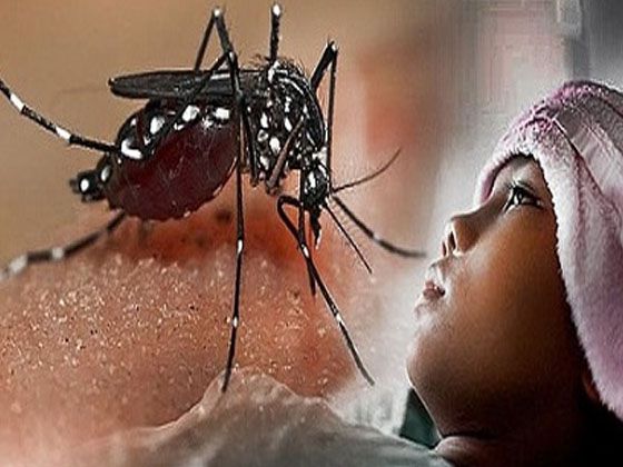  Ilustrasi demam berdarah