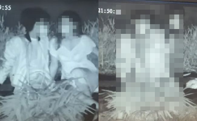 Adegan mesum sepasang muda-mudi di Lapangan Renon yang direkam dua oknum polisi pemantau monitor CCTV. 