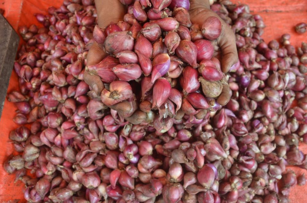 MASIH STABIL: Harga bahan pokok di pasar masih dalam batas toleransi. Kemarin (14/3) TPID menggelar rapat untuk mengendalikan harga agar stabil jelang bulan Ramadhan.

 