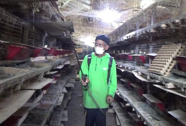 SEMPROT: Petugas Dinas Perkebunan dan Peternakan Muarojambi, saat melakukan penyemprotan pada kadang ternak miliki peternak unggas di Murojambi demi mengantisipasi penularan virus flu burung.