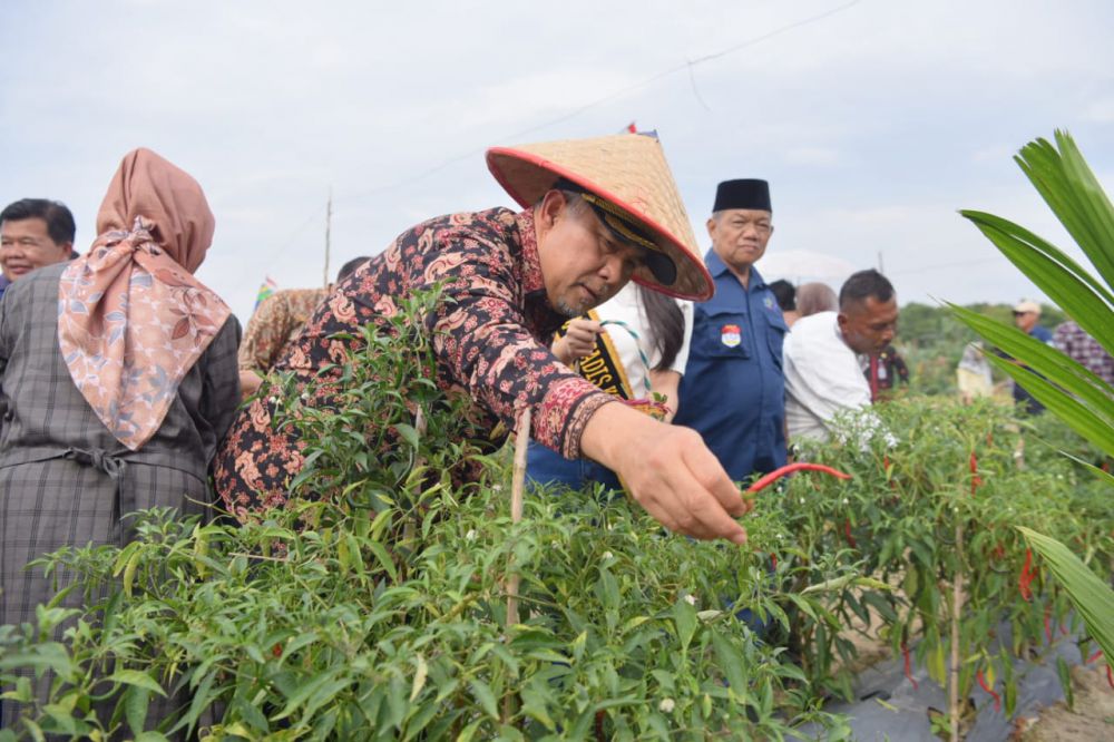 Walikota Jambi Sy Fasha.