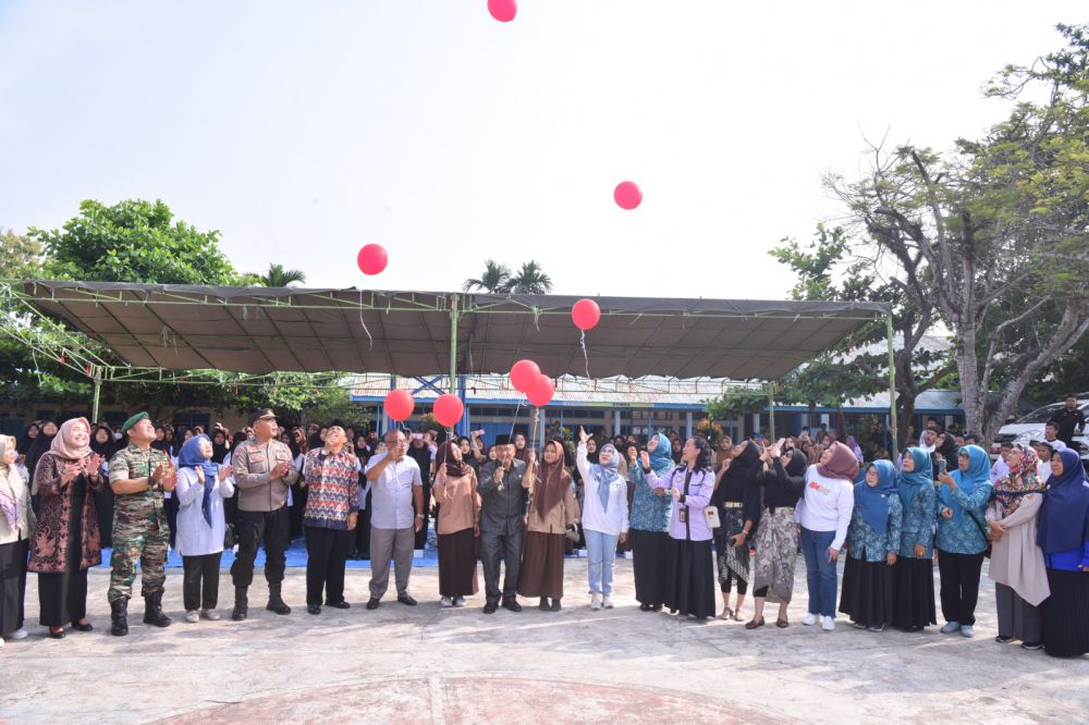 Pemberian Tablet Tambah Darah, Pemeriksaan Kesehatan dan Smokelizer