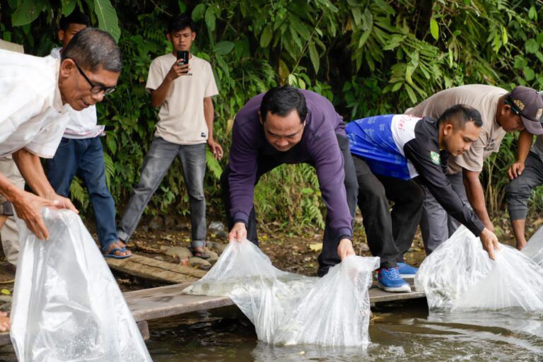 Ribuan bibit ikan air tawar dilepasliarkan kedalam lubuk larangan oleh wakil ketua DPRD Bungo, Jumiwam Aguza dan Disnakkan