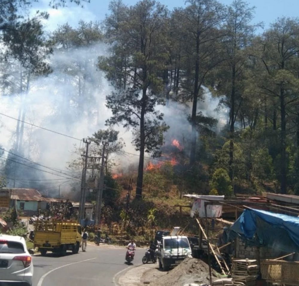 Kawasan hutan pinus di Kecamatan Tinggimoncong, Kabupaten Gowa, terbakar, Kamis, 28 September. Kebakaran hutan dan lahan (karhutla) bisa menganggu pemulihan pariwisata. 
