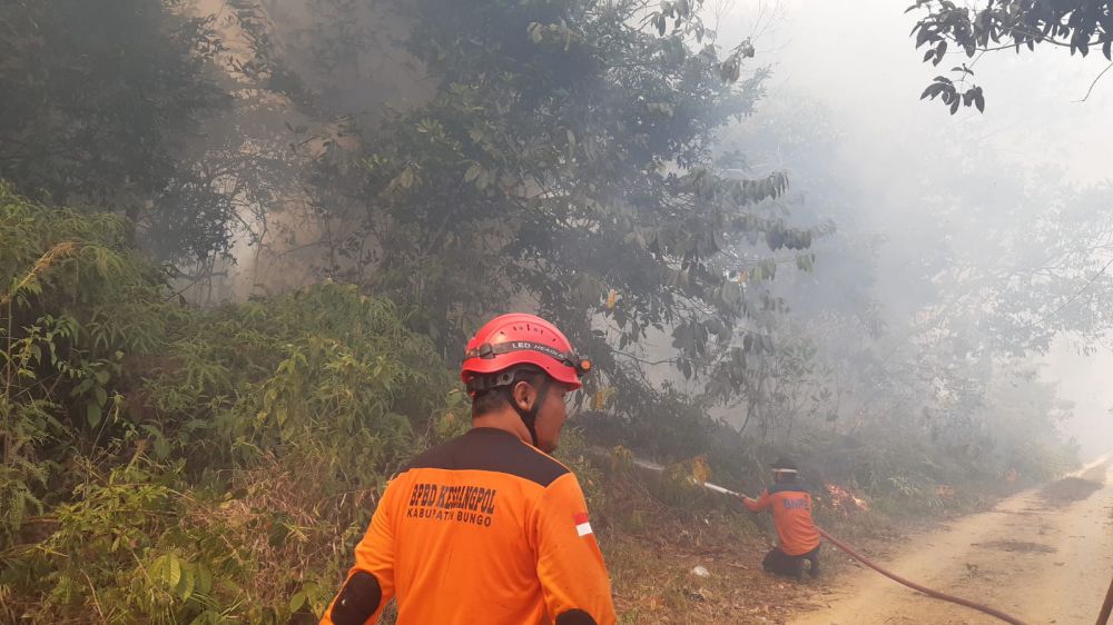 Tim dari BPBD turun ke lokasi kebakaran lahan yang mengelilingi perumahan Green Petra untuk memadamkan api


