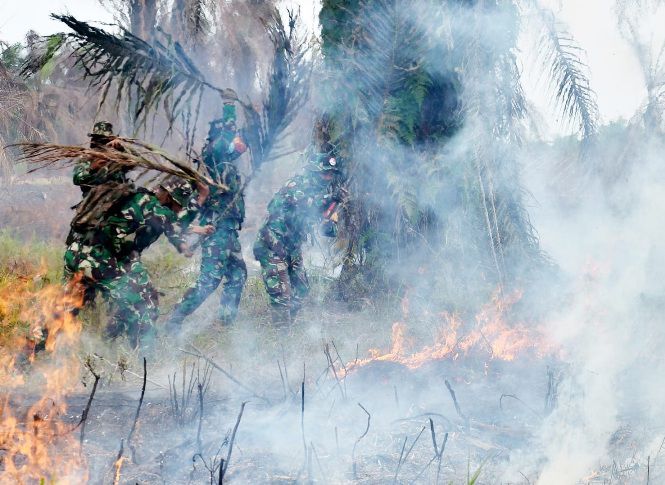 Petugas melakukan pemadaman kebakaran hutan dan lahan yang terbakar. Selama periode 2023 ini terdata 1.299 hektar lahan yang terbakar.