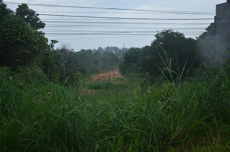 Kondisi jalan khusus batu bara di kawasan Mendalo Darat, Jambi Luar Kota