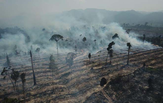 Lahan hutan di Kabupaten Tebo yang terbakar di saat musim kemarau beberapa bulan yang lalu.