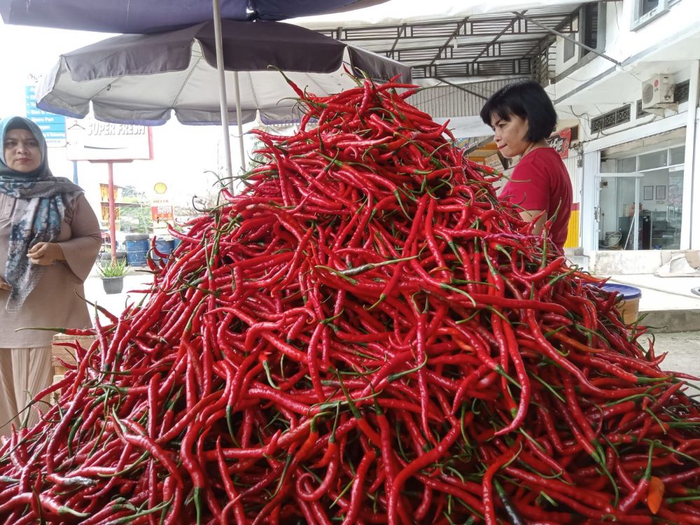 Pedagang cabai merah di pasar tradional dalam Kota Jambi tengah menanti pembeli.