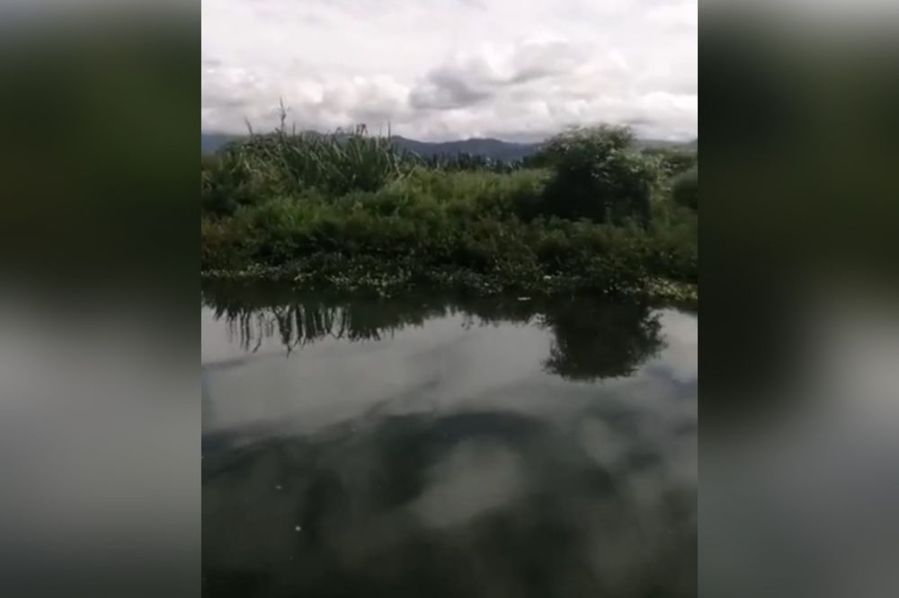 Muncul Pulau Baru di Tengah Danau Kerinci.