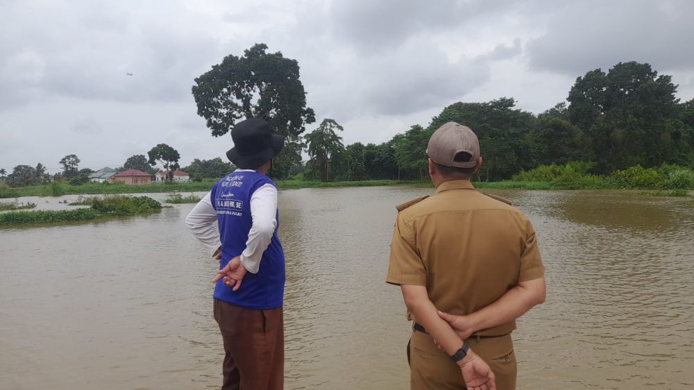 DLH Kota Jambi melihat kondisi eceng gondok yang memenuhi Danau Sipin (15/1) kemarin.
