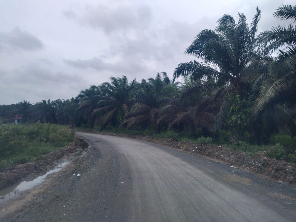 Proyek Jalan Tahun 2023 Senilai Rp 4,7 Miliar di Tebo yang Dikerjakan PT MTN Mangkrak