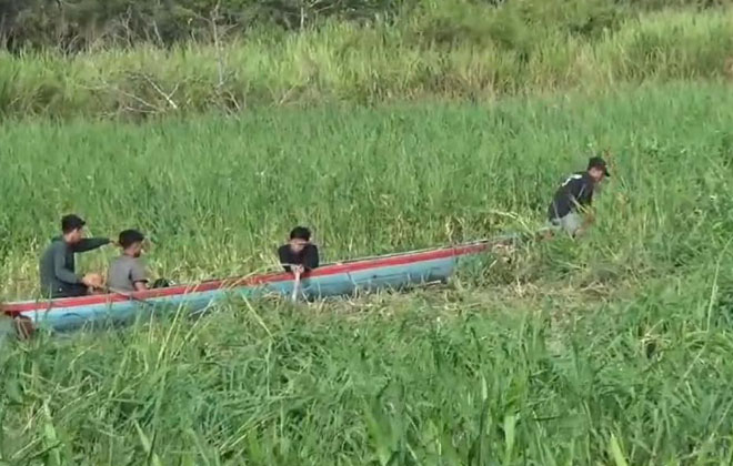 Sungai yang ada di Kecamatan Kumpeh, Kabupaten Muaro Jambi, saat ini dipenuhi dengan semak.