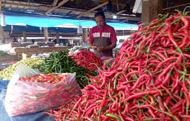 Harga sejumlah kebutuhan pokok terjadi di Pasar Tradisional Jambi Kecil Muaro Jambi, naik.