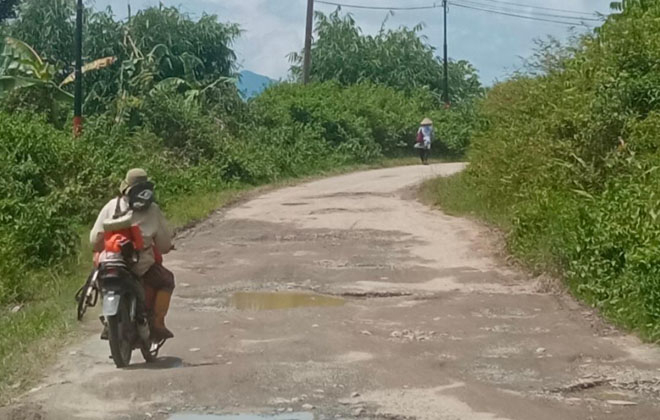 Jalan perbatasan Desa Ujung Pasir Hingga Koto Salak, Kecamatan Tanah Cocok dalam kondisi rusak parah.