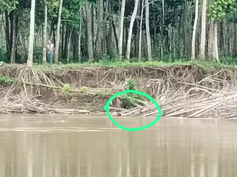 Terapung di Sungai, Mayat Tanpa Kepala Ditemukan dalam Karung