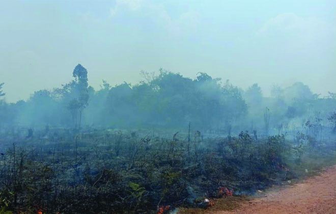 Kebakaran Hutan dan Lahan (Karhutla) di Kabupaten Muaro Jambi, kini  sudah terjadi.