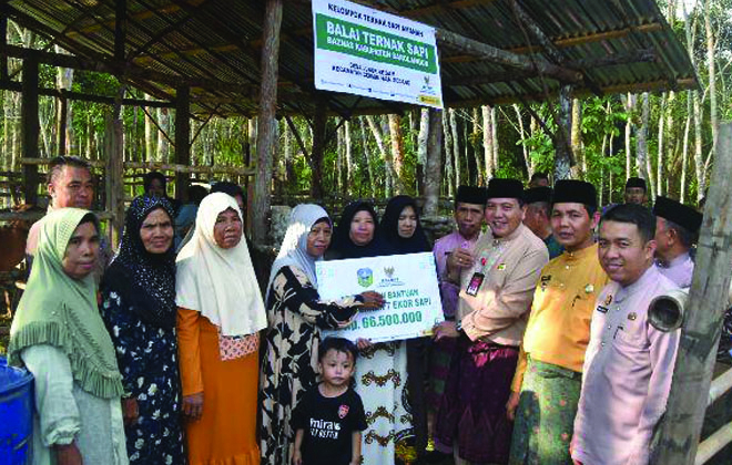 PJ Bupati Sarolangun Bachril Bakri bersama Baznas Sarolangun saat memberikan bantuan induk sapi Bali bagi keluarga miskin.