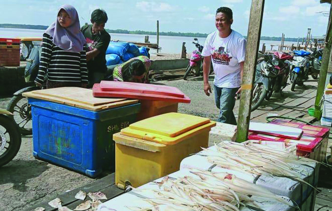 Tangkapan ikan yang melimpah di toke penampung yang ada di Kecamatan Kuala Jambi.