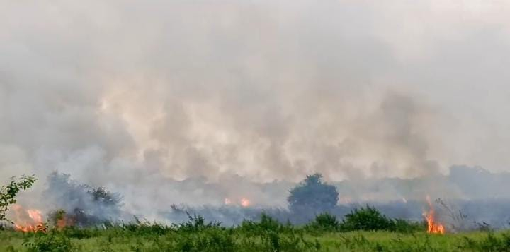 Dalam Sehari, Ada Tiga Lokasi Karhutla di Muaro Jambi