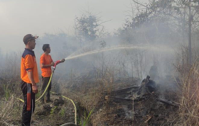 Petugas saat melakukan pemadaman api Karhutla di Muaro Jambi.