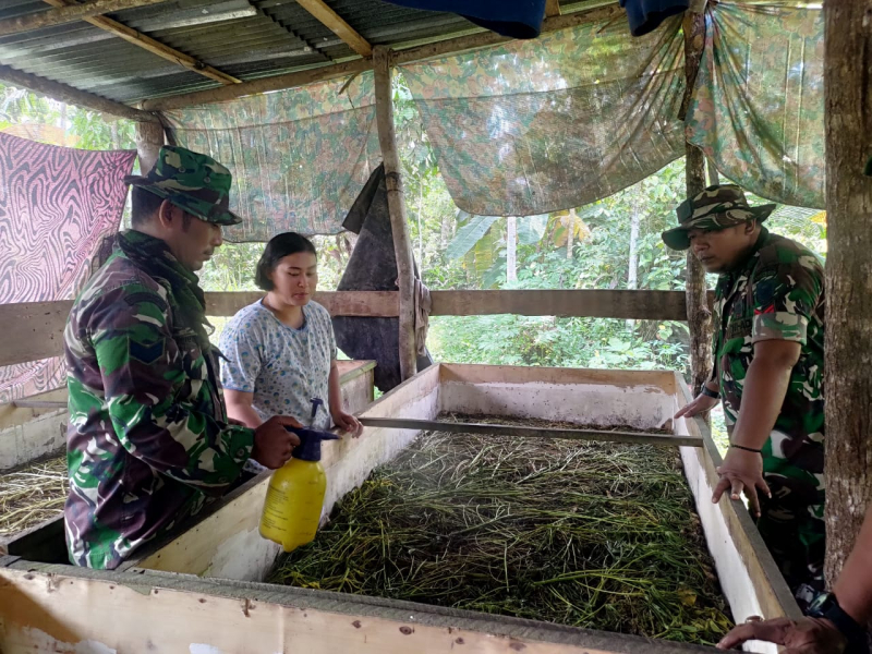 Satgas Kodim 0415/Jambi Bantu Warga Budidaya Jangkrik di Titik Saaaran