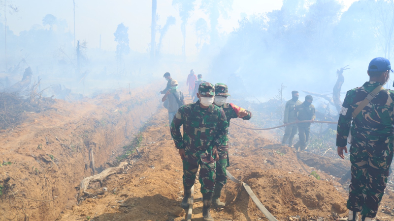 Dandim 0416/Bute Tinjau ke Posko Terpadu Karhutla di Desa Pemayungan.