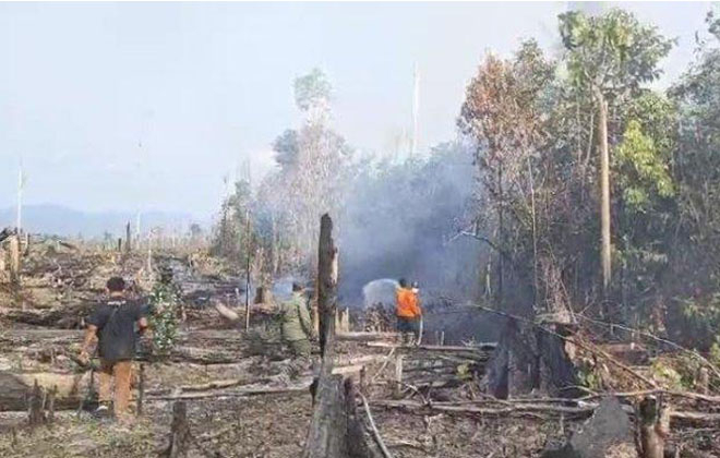 Pj Bupati Tebo bersama jajaran forkopimda SAAT melakukan peninjauan ke lokasi hutan yang terbakar di Desa Pemayungan, Kecamatan Sumay.