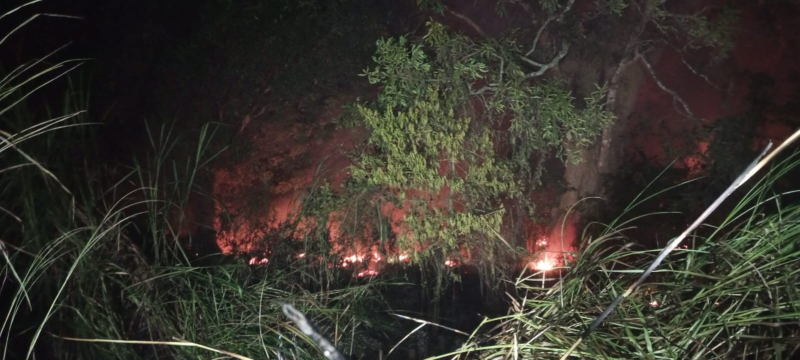 Kebakaran Lahan Sejak Siang di Tanjung Johor, Api Baru Bisa Dipadamkan Tengah Malam