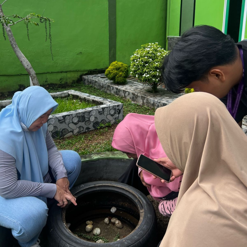 Pihak Dinkes Kota Jambi memberantas sarang nyamuk untuk menekan lonjakan kasus DBD