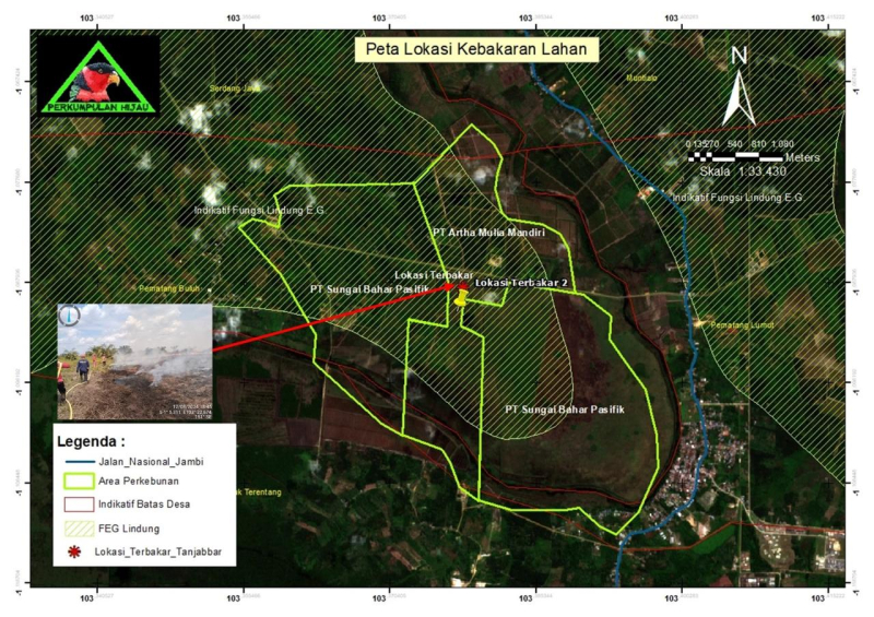 Konsesi Perusahaan Terbakar, Perkumpulan Hijau, Minta Polda Jambi Tangkap dan Cabut Izin Konsesi
