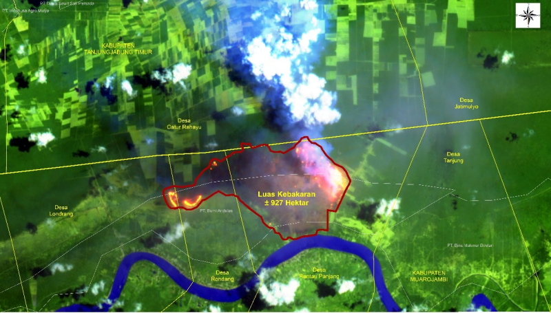 Analisis Citra Satelit Sentinel 2 yang dilakukan tim GIS KKI Warsi.