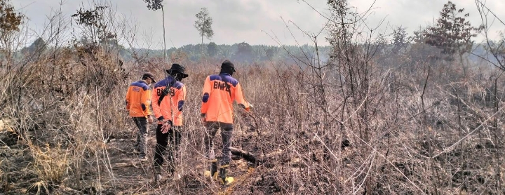 Karhutla di Areal Perusahaan Meluas, Dewan Minta Pemerintah Pertimbangkan Cabut Izin