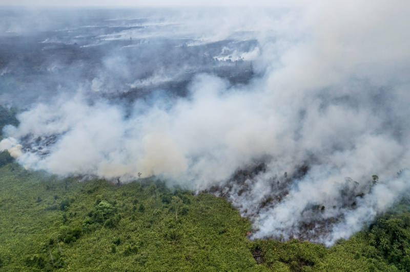 Foto udara api membakar lahan di Desa Rantau Panjang, Muaro Jambi, Jambi, Senin (2/9/2024) lalu. ANTARA FOTO/Wahdi Septiawan/foc.