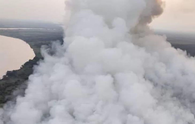 Ratusan hektare Hutan dan Lahan yang berada di Wilayah Kabupaten Muaro Jambi hangus terbakar.