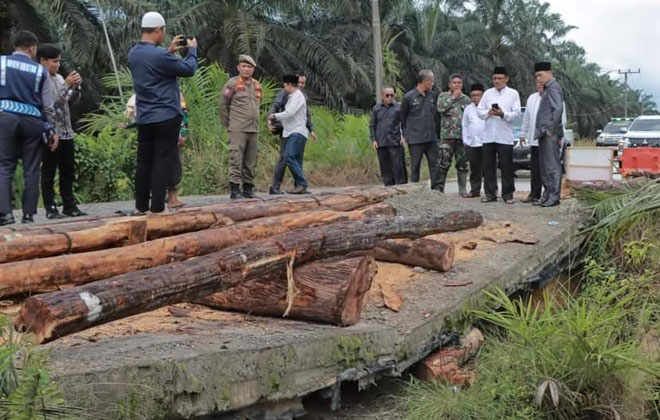 Pjs Bupati Tanjabbar, melakukan peninjauan terhadap beberapa jalan yang mengalami kerusakan.