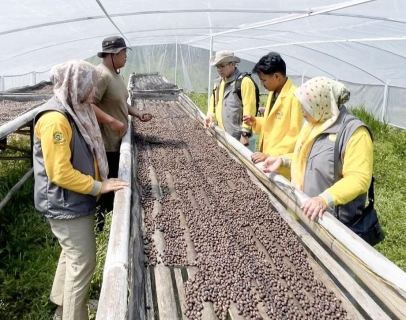 STIE Sakti Alam Kerinci Tingkatkan Produksi UKM kopi dengan Arabica Greenhouse