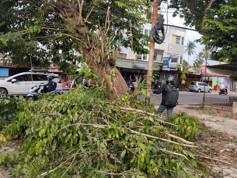 Kematian Tragis di Simpang Empat Beringin, Ketua APJII Tegaskan Kabel Internet Tak Mengalirkan Listrik