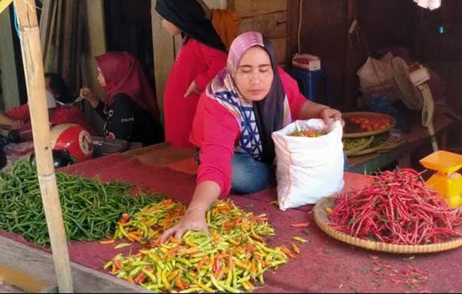 Salah satu pedagang cabai di Pasar Atas Muara Bungo.