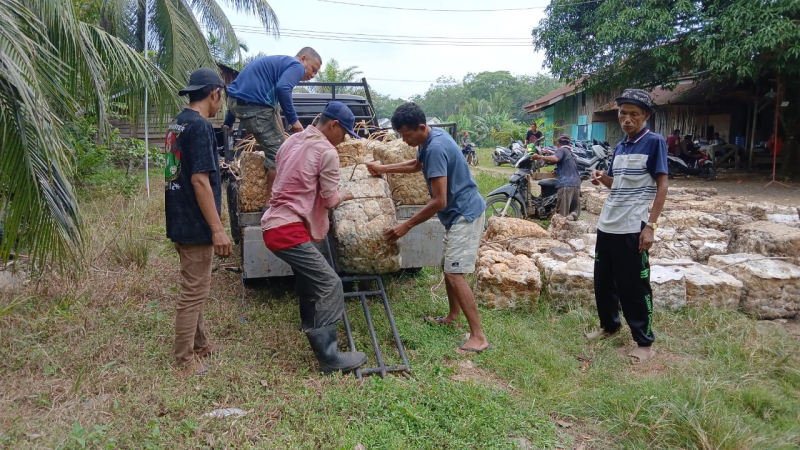 Salah satu pasar lelang karet di wilayah Jujuhan Bungo yang hingga kini masih terus beroperasional.