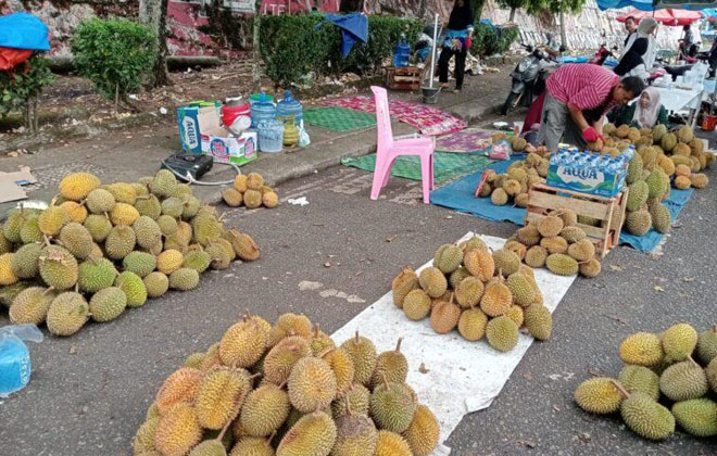 Buah durian membanjiri wilayah Kota Muara Bungo sejak akhir 2024 hingga awal Tahun 2025 ini.