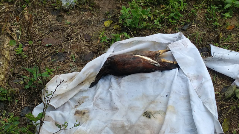 Heboh! Bungkusan Putih di Pemakaman Bikin Warga Panik, Ini Isinya