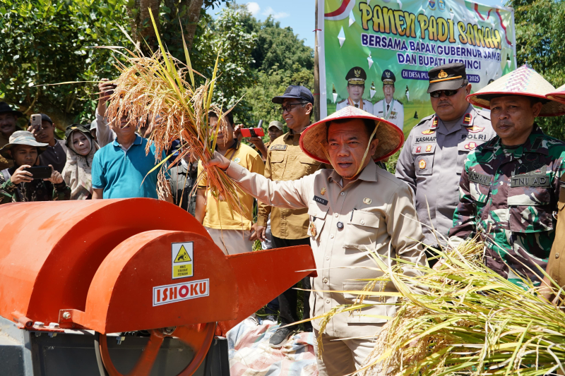 Gubernur Al Haris: Pemprov dan Pemkab Bersinergi Benahi Sistem Pertanian Agar Hasil Meningkat