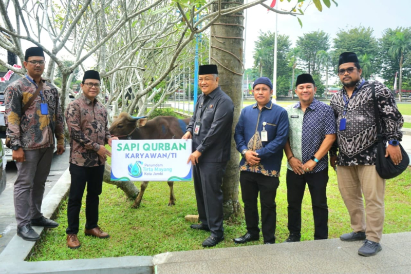 Perumda Tirta Mayang Distribusikan 22 Ekor Sapi Kurban Pada Idul Adha 1446 H