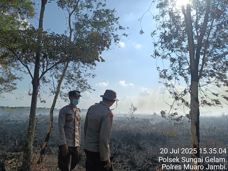 Karhutla di Muaro Jambi, 50 Hektare Lahan Gambut Terbakar, Pemadaman Masih Berlanjut

