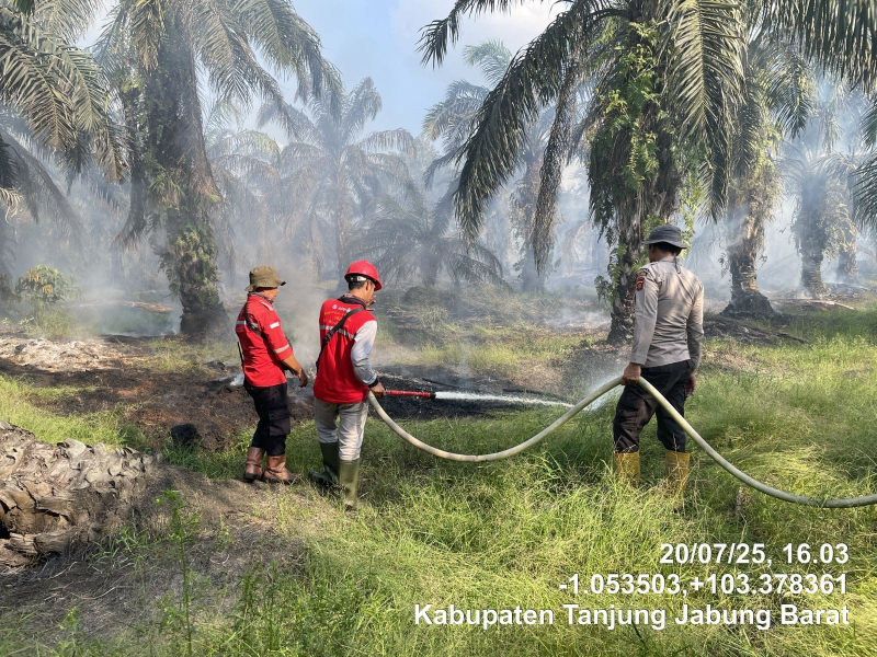 Kebakaran Lahan Sawit di Tanjabbar Meluas, BPBD: Sudah Lima Kasus Sejak Januari